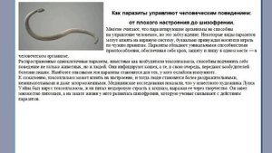 Защита нервной системы с помощью продуктов БИОЗАН