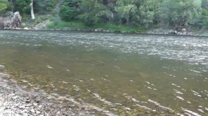 Горные реки! Верховья реки Уссури! Приморский край!