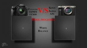 Panasonic LUMIX FZ300 vs Sony Alpha A7C