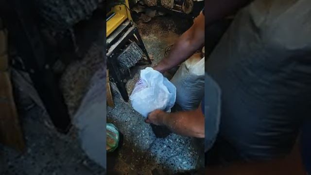 Сушка сырой древесины смотреть онлайн