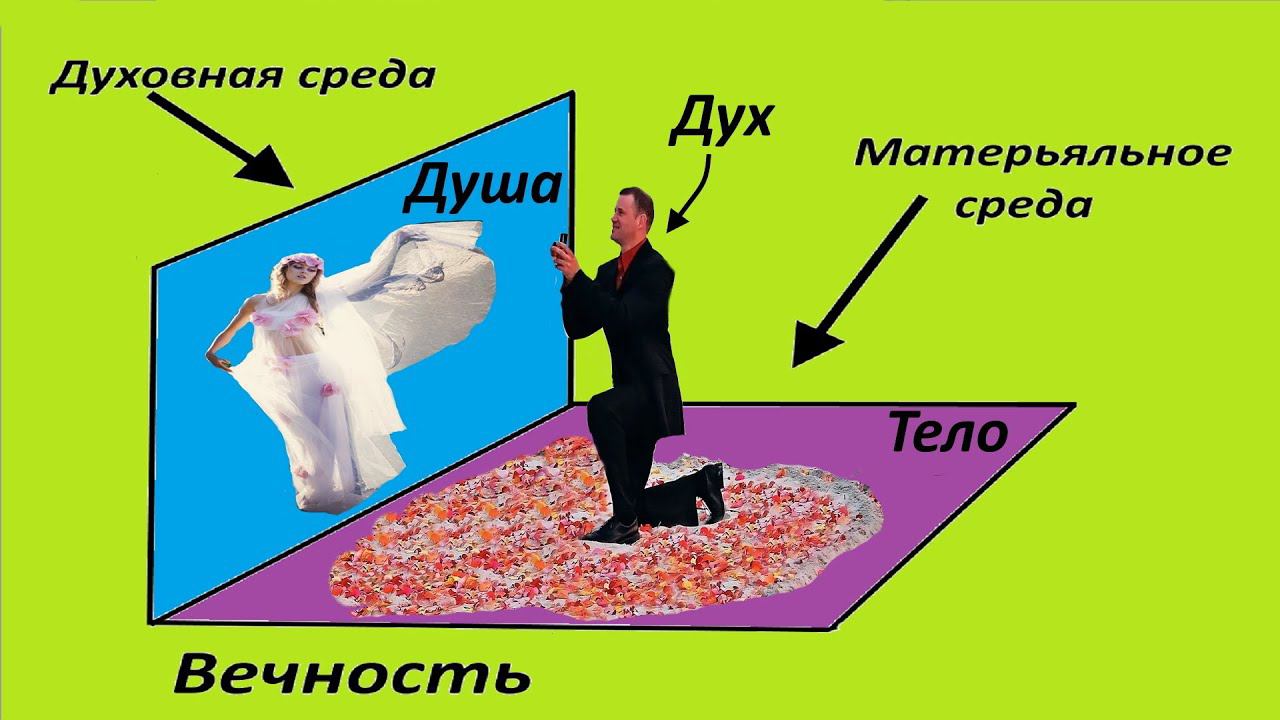 Как устроен наш мир? Часть 2 - строение человека.