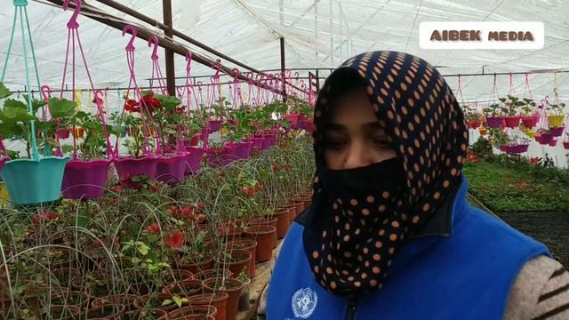 Араван районундагы теплицадагы гүлдөр смотреть онлайн