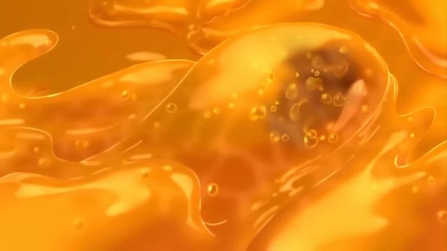 Winnie The Pooh Official Trailer