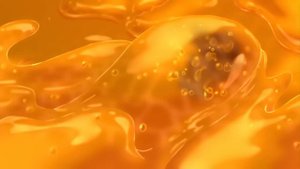 Winnie the Pooh Official Trailer