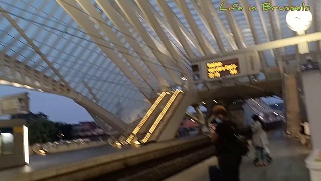 Парк в г.Льеж. Футбол Бельгия-Италия. смотреть онлайн