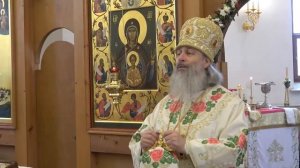 Проповедь митрополита Арсения в день Собора Архангела Михаила 21.11.2020 г.