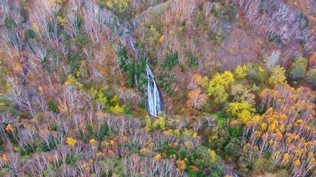 мастер-план 05.12.23 смотреть онлайн