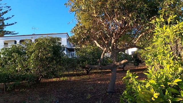 Тенерифе Обзор дома, еды и воды Лето 2022 смотреть онлайн