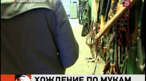 5 канал. &quot;В Петербурге зоозащитники вскрывают страшные тайны лошадиных судеб&quot; от 31.07....