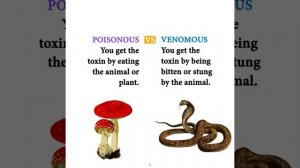 Amazing facts about animals