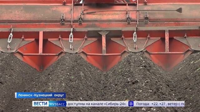 В Кузбассе засуха может внести коррективы в планы на урожай