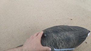 Профили гусей, отзыв, обзор