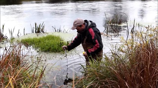 Квоки для сома Олега Капитанова смотреть онлайн