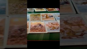 Будет ли голод?