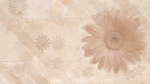Бесплатный футаж для видео монтажа бежевый цветочный фон HD Ссылка на скачивание в описании