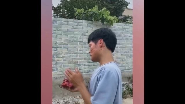 Funny 24