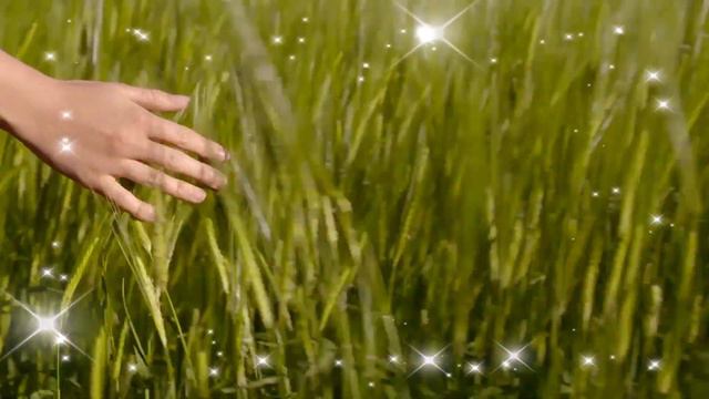 С Днём работником сельского хозяйства! смотреть онлайн