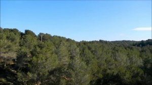 Acueducto romano de Les Ferreres o Pont del Diable (Tarragona) - Roman aqueduct in Tarragona