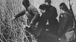 ПЕСНЯРЫ "Белоруссия" 1979 (stereo mix)