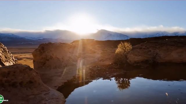 Акции голубых фишек. Почему они стабильны? смотреть онлайн