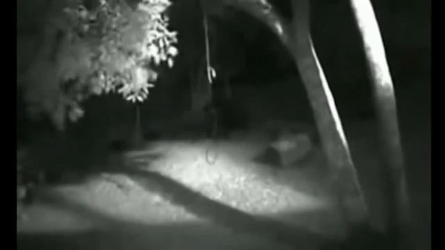 Оборотни рядом с нами! 8 Реальных и Страшных Оборотней снятые на самеру! УЖАС В НОЧИ! смотреть онлайн