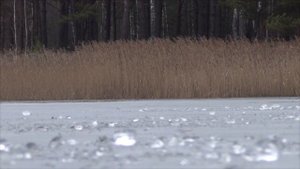 Крупицы мастерства плотва последний лёд, сборник с 10 серий 2 сезонов.mp4