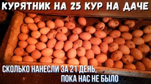 Курятник на 25 кур на даче. Сколько снесли яичек за 21 день нашего отсутствия #сезонконтентаRUTUBE