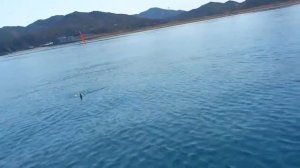 Японская рыбалка