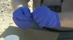 Крушение российского самолета  в Египте