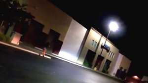 California Сакраменто.Калифорнийская республика. С утра до утра. Обслуживание круглосуточное