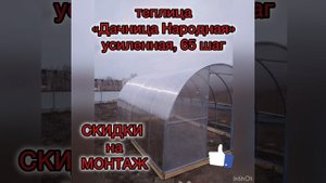 Теплица «Дачница Народная Усиленная».