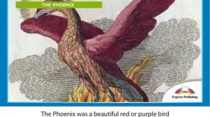 Mythical Creatures (Video) Excel 5 Module 5