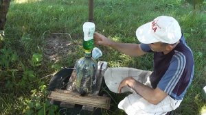 Пчёлы в баклажке .Такой вот опыт.