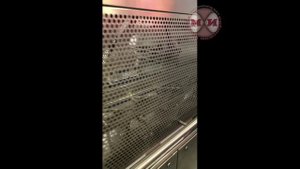 Запайщик лотков автоматический ECHO-TA-350