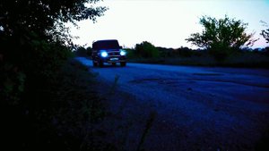 Мерс  кабан Эдит