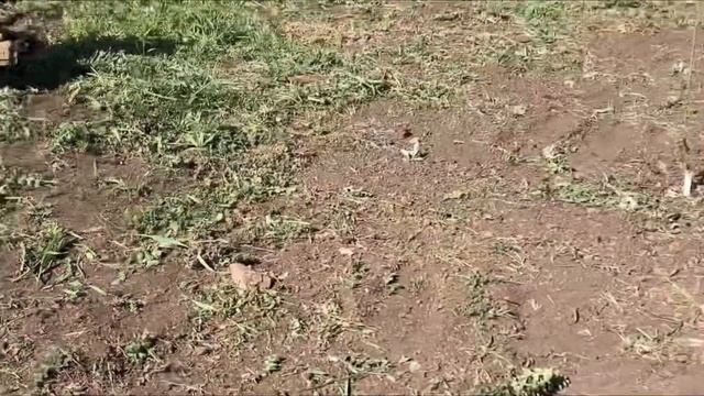 Насадка на триммер для прополки