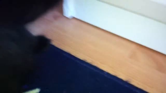 Охота на кузнечика смотреть онлайн