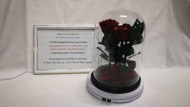 3 (Три) бордовые розы в стеклянной колбе будут жить до 5 лет.