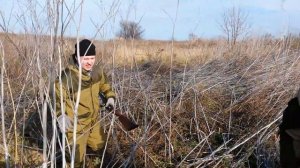 Охота на бобра.охота с ягдтерьером.