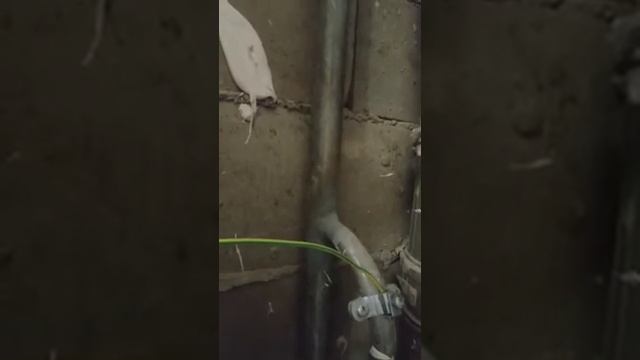 Пригород Лесное кавитация в квартире смотреть онлайн