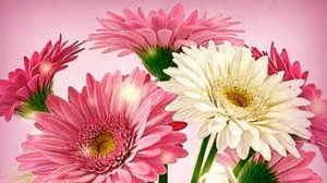 Самое нежное,душевное поздравление с Днём рождения ДОЧЕРИ