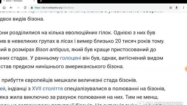 Википедия бизон смотреть онлайн