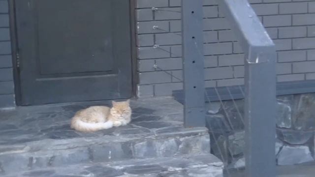 Где отдохнуть в Тверской обл.? Обзор эвент-отеля "КОНАКОВО Ривер Клаб". Часть 3 - СПА и фитнесс смотреть онлайн