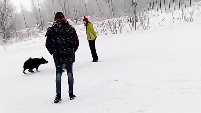 Эллада с Мещерского Озера