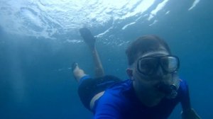 Снорк на пляже в г.Дауин о.Негрос (Snorkeling Dauin)