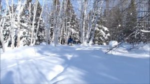 Электробусировщик (электрособака)