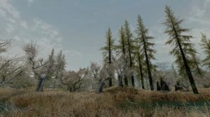 Skyrim Xbox Graphics Mod Showcase: Tree Overhaul Comparison / Series X