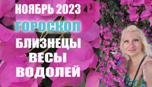 Гороскоп БЛИЗНЕЦЫ ВЕСЫ ВОДОЛЕЙ ноябрь 2023 Прогноз Светлана ВЕДА