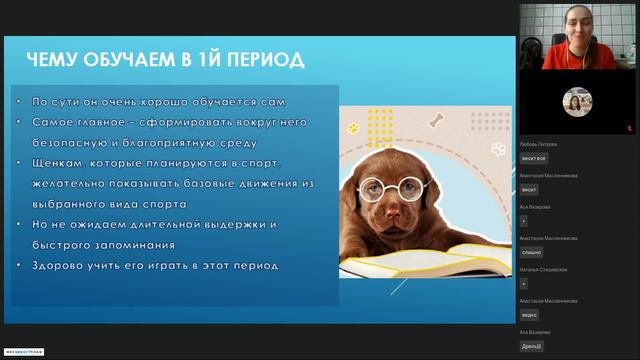 Стадии развития щенка по месяцам смотреть онлайн