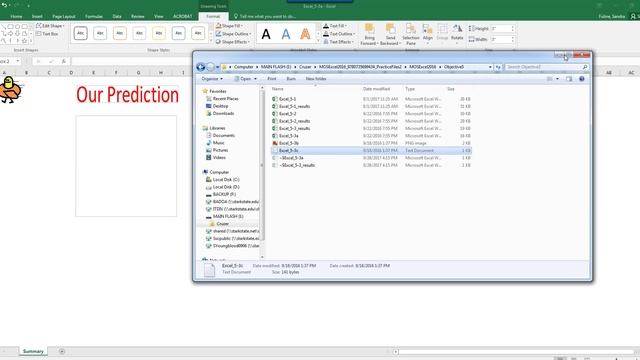 Excel Objective 5.3 Practice Tasks